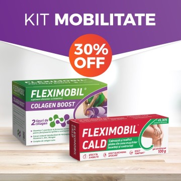 KIT Mobilitate 2