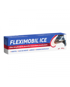 FLEXIMOBIL ICE gel 100g