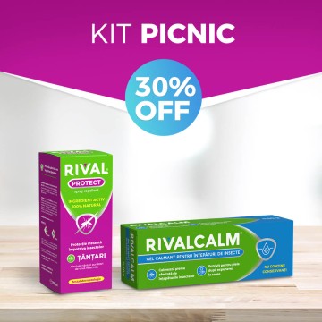 KIT Picnic